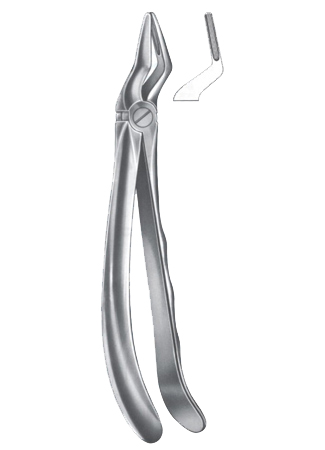 Extracting Forceps - English Pattern