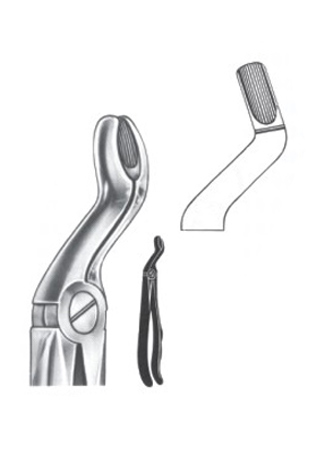 Extracting Forceps - English Pattern