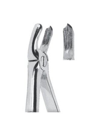 Extracting Forceps - English Pattern