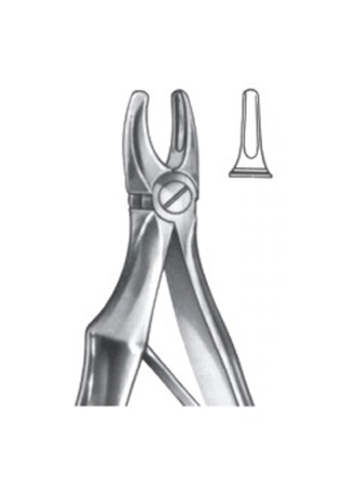 Extracting Forceps - English Pattern