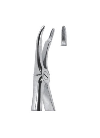 Extracting Forceps For Children - English Pattern