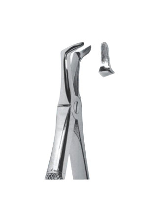 Extracting Forceps For Children - English Pattern