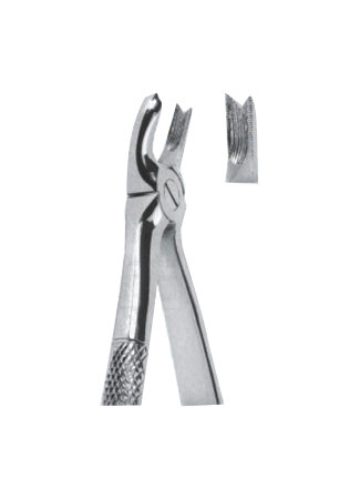 Extracting Forceps - English Pattern
