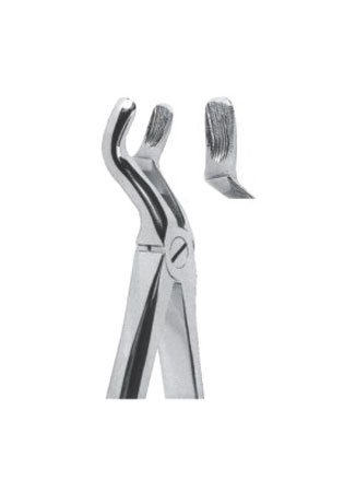 Extracting Forceps - English Pattern
