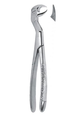 Extracting Forceps - English Pattern