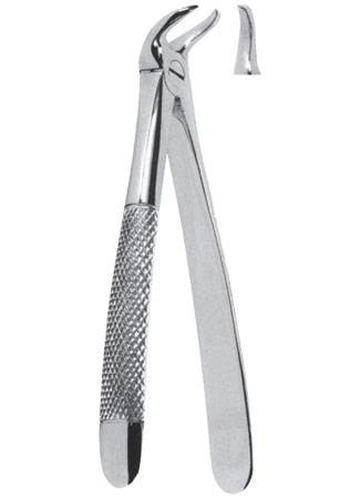Extracting Forceps - English Pattern