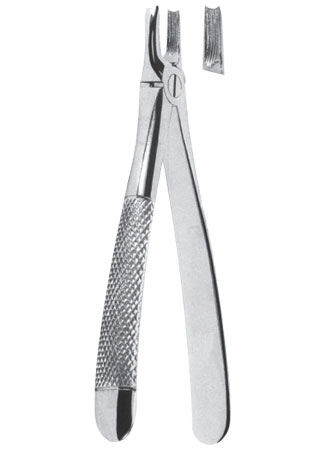 Extracting Forceps - English Pattern