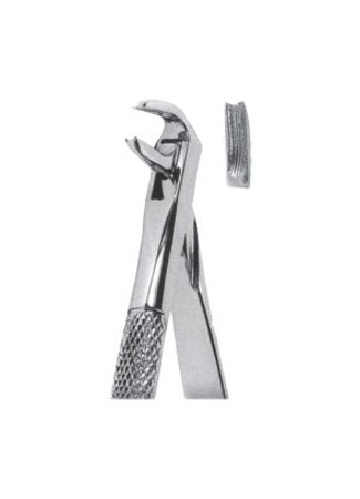 Extracting Forceps - English Pattern
