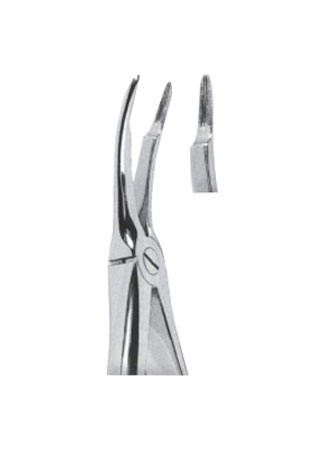 Extracting Forceps - English Pattern