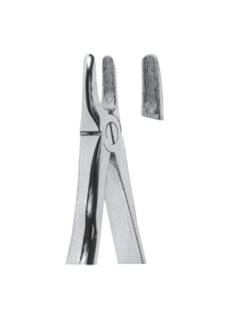 Extracting Forceps - Mead Pattern