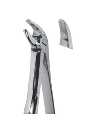 Extracting Forceps - Mead Pattern