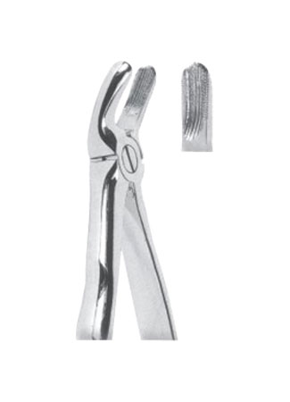 Extracting Forceps - Mead Pattern